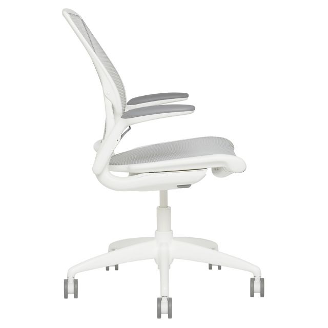 Humanscale diffrient world chair used discount
