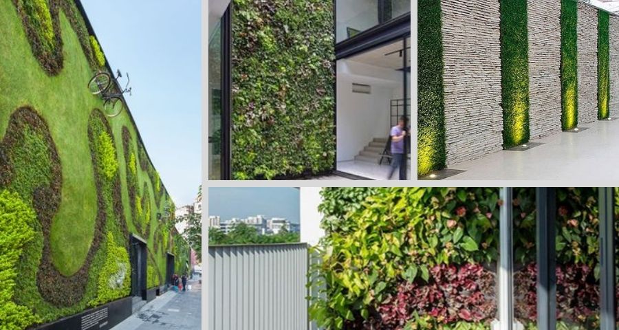 types of living walls